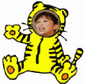 g̖D݂𒅂